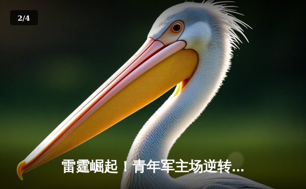 雷霆崛起！青年军主场逆转掘金，亚历山大40分导演惊天翻盘 - 2