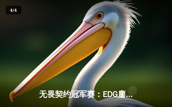 无畏契约冠军赛：EDG鏖战五局惜败PRX，中国电竞虽败犹荣 - 4