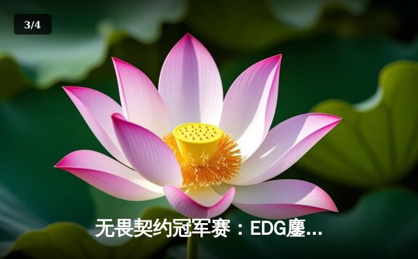 无畏契约冠军赛：EDG鏖战五局力克TE，康康关键局狂揽四杀锁定胜局 - 3